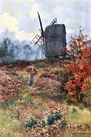 The Mill, Keston Common