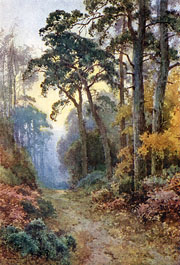 View on Hampstead Heath