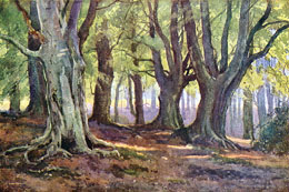 High Beech, Epping Forest